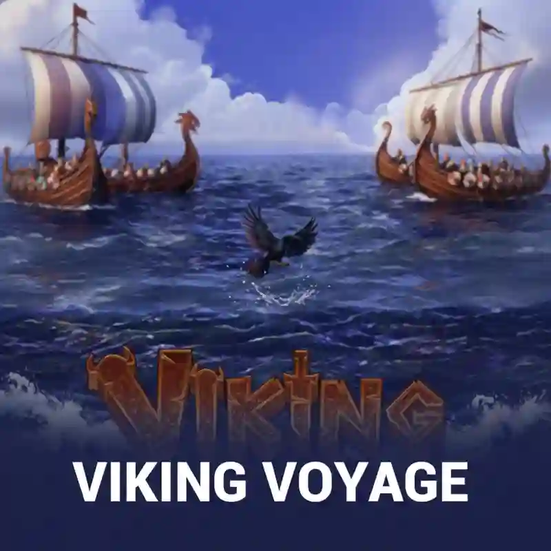 Viking Voyage